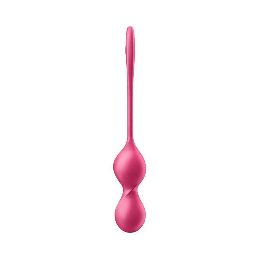 Satisfyer Love Birds 2 Connect App